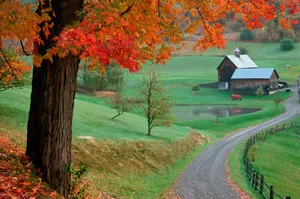 A Picturesque Fall Barn Surrounded By Vibrant Autumn Foliage Wallpaper