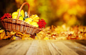 A Picturesque Fall Harvest Scene Featuring A Bountiful Pumpkin Patch And Haystacks. Wallpaper