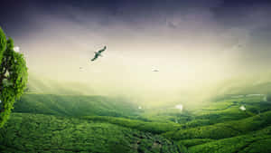 A Picturesque Green Landscape Wallpaper