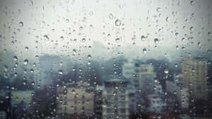 A Picturesque Landscape Of Rolling Hills, Grass, And A Single Tree Wallpaper