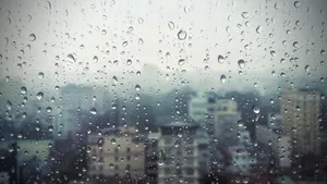 A Picturesque Landscape Of Rolling Hills, Grass, And A Single Tree Wallpaper