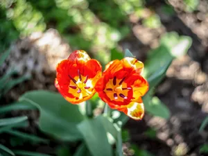 A Picturesque Mountain Lake Surrounded By Picturesque Mountains Wallpaper