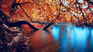 A Picturesque Scene Of A Lake Surrounded By Vibrant Fall Foliage Wallpaper