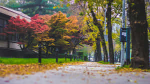 A Picturesque View Of Fall City Showcasing The Serene River And Lush Greenery. Wallpaper