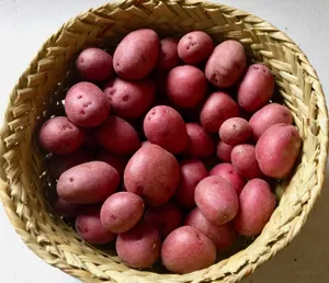 A Pile Of Fresh Red Potatoes Wallpaper