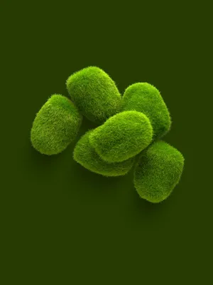 A Pile Of Green Grass On A Green Background Wallpaper