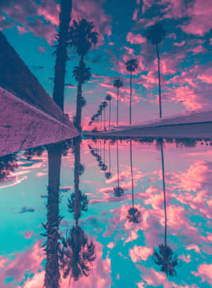 A Pink And Purple Sky With Palm Trees Reflected In The Water Wallpaper