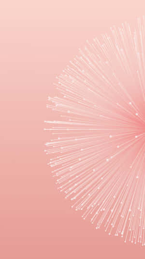 A Pink Background With A Dandelion Flower Wallpaper