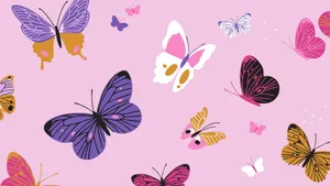 A Pink Background With Many Butterflies On It Wallpaper