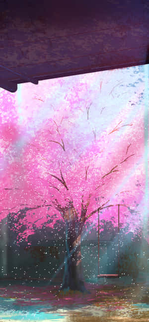 A Pink Cherry Blossom Tree In Full Bloom. Wallpaper