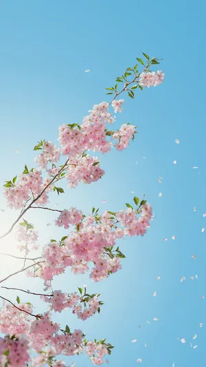 A Pink Cherry Blossom Tree With Blue Sky Wallpaper