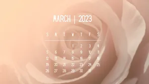 A Pink Rose With The Words March 2020 Wallpaper