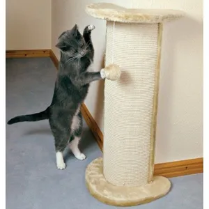 A Playful Cat Enjoying Its Scratching Post Wallpaper