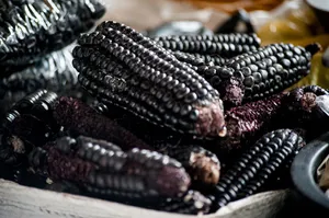 A Plethora Of Vibrant Purple Corn Sits In Field, Basking In The Sun. Wallpaper