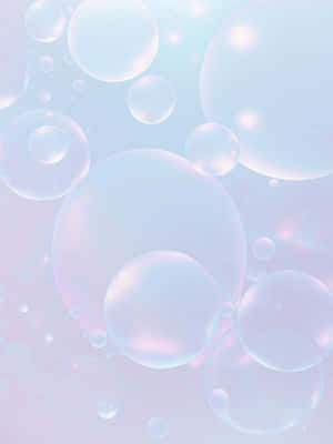 A Portrait Of A Vibrant Dahlia Flower Wallpaper