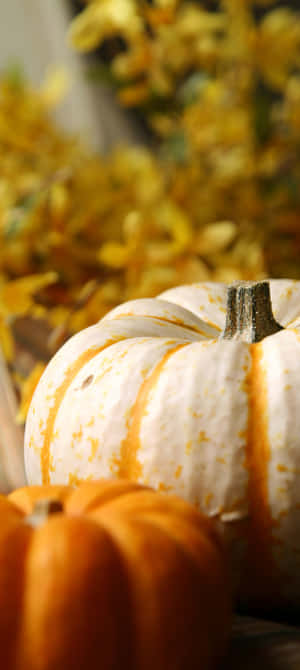 A Pumpkin Sitting On A Table Wallpaper