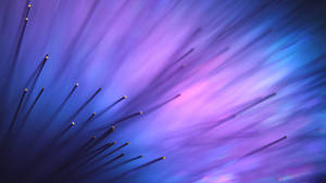 A Purple And Blue Flower With A Lot Of Spikes Wallpaper