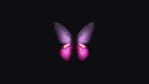 A Purple Butterfly Is Shown On A Black Background Wallpaper