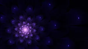 A Purple Flower With Lights On It Wallpaper