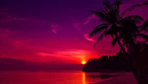 A Purple Sunset Over A Beach With Palm Trees Wallpaper