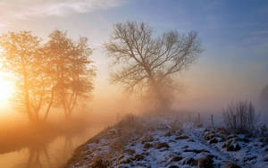 A Quiet, Frosty Winter Morning Wallpaper