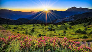 A Radiant Spring Sunrise Wallpaper