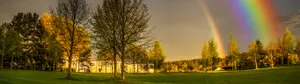 A Rainbow Is Seen Over A Field Of Trees Wallpaper