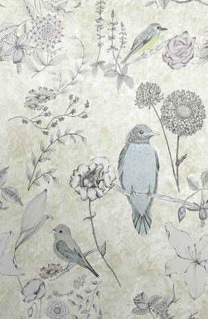 A Rainbow Of Colors Celebrating The Beauty Of Bird And Nature Wallpaper