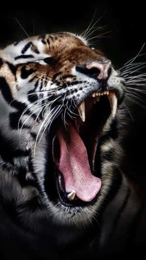 A Ranger Protecting Wildlife In Their Natural Habitat Wallpaper