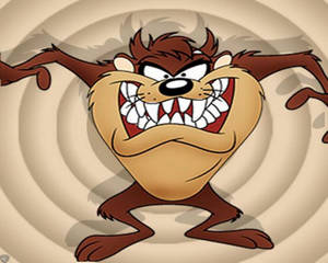 A Rare Sight - A Tasmanian Devil Close Up Wallpaper