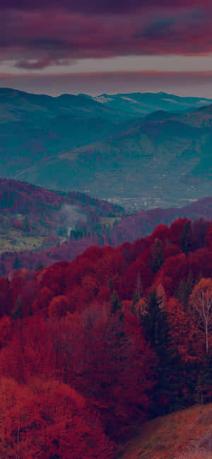 A Red Tree Against Clear Sky Wallpaper