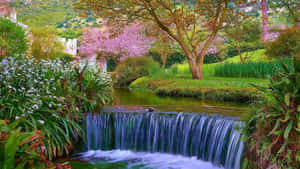 A Refreshing Spring Water Source Wallpaper