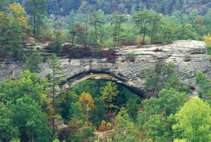 A Relaxing Still Of Blue Grass In The Sunshine Wallpaper
