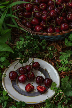 A Ripe, Dark-colored Black Cherry Giving Off A Sweet Smell. Wallpaper