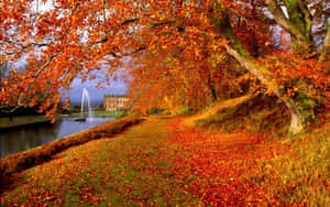 A River With Trees And A Fountain Wallpaper