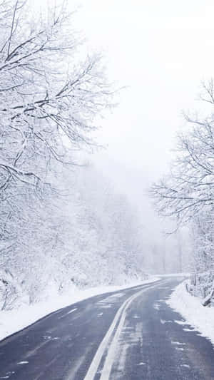 A Road Covered In Snow With Trees In The Background Wallpaper