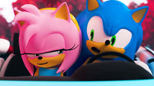 A Romantic Moment: Sonic And Amy Enjoying Each Other's Company In A Beautiful Garden Wallpaper