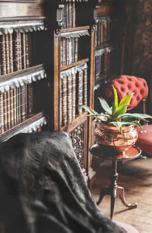 A Room With A Chair And A Book Shelf Wallpaper