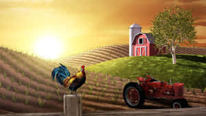 A Rooster And A Tractor On A Farm Wallpaper