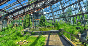 A Scenic Botanical Garden Oasis Wallpaper