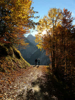 A Scenic Fall Hike Through A Colorful Forest Trail Wallpaper