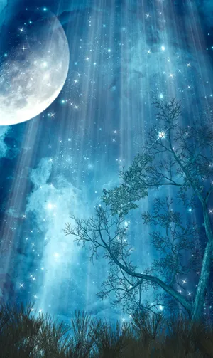 A Scenic View Of A Forest Wallpaper