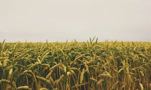 A Scenic View Of An Island And A Mountain Range Above The Ocean Wallpaper