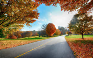 A Scenic View Of Fall Country Landscape Wallpaper