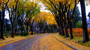 A Scenic View Of Fall Town Wallpaper