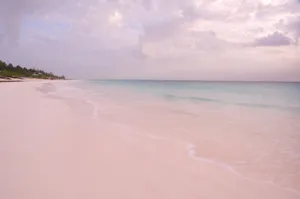 A Scenic View Of The Pink Sand Beach And Crystal Blue Waters Wallpaper
