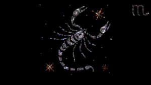 A Scorpion Is Shown On A Black Background Wallpaper