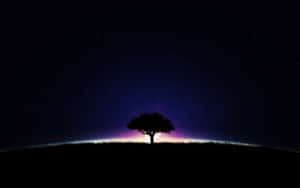 A Serene And Chilly Night Under The Stars Wallpaper