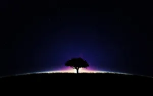 A Serene And Chilly Night Under The Stars Wallpaper