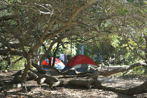 A Serene Autumn Campsite Surrounded By Colorful Foliage Wallpaper